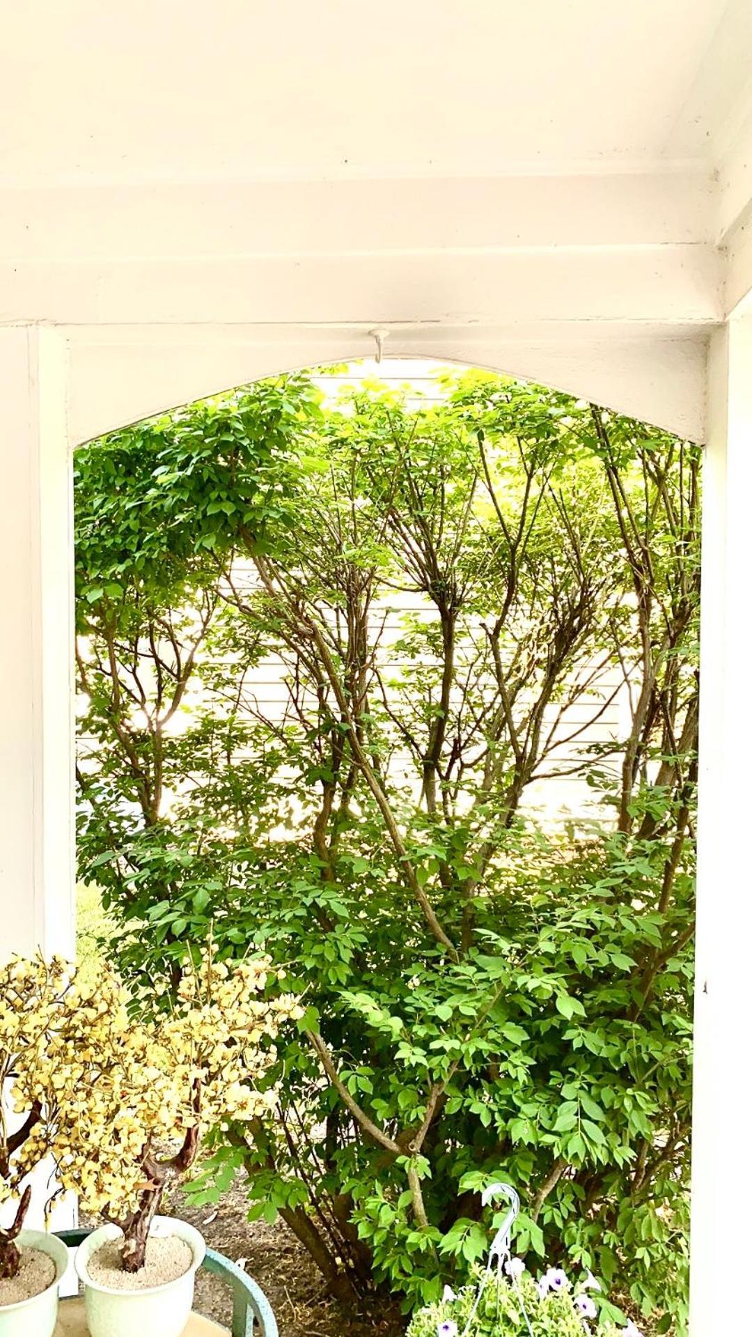 B3 A Private Room In Naperville Downtown With Desk And Wi-Fi Near Everything Exteriör bild